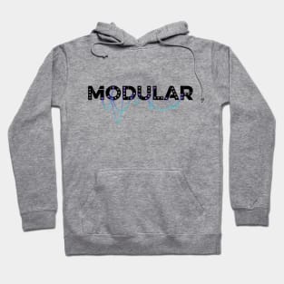 Modular Synthesizer for all Synthesizer lovers Hoodie